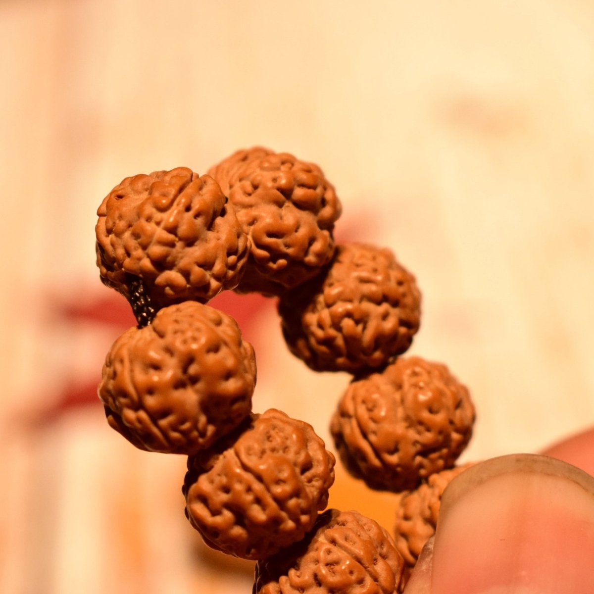 5 Mukhi Rudraksha Mala Beads - Rudraksha