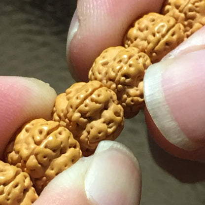 5 Mukhi Rudraksha Mala Beads - Rudraksha