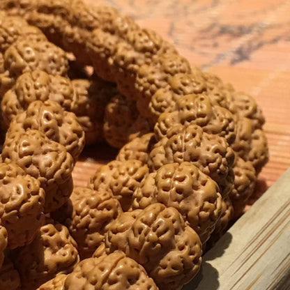 5 Mukhi Rudraksha Mala Beads - Rudraksha