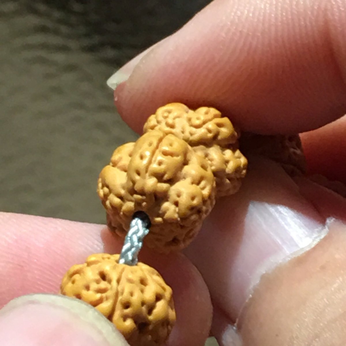 5 Mukhi Rudraksha Mala Beads - Rudraksha