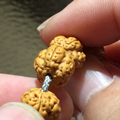 5 Mukhi Rudraksha Mala Beads - Rudraksha